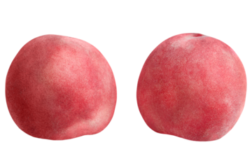 Two whole pink peaches isolated on transparent background.