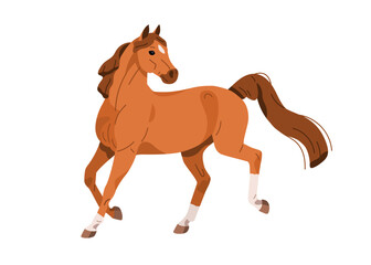 Fototapeta na wymiar Horse, strong wild stallion, equine animal in action, motion. Racehorse walking, running, going, moving. Beautiful steed with mane and tail. Flat vector illustration isolated on white background