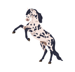 Horse standing up in rearing pose. Wild stallion profile, beautiful spotted steed of Knabstrupper breed. Purebred spotty animal. Colored flat graphic vector illustration isolated on white background