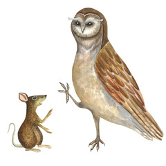 Watercolor illustration of an owl and and mouse, rat. Composition isolated on transparent background hand drawn for decoration and design of souvenir products