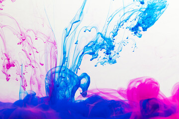 Fototapeta premium Close up of blue and pink ink in water with copy space on white background