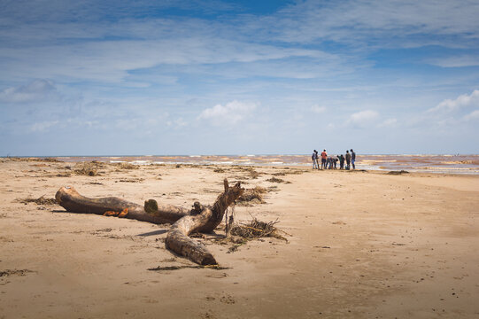 A discarded log lies along a section of a sandy beach. 