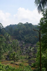 A traditional Indonesian village surrounded by mountains and rice fields called Kampung Naga. 