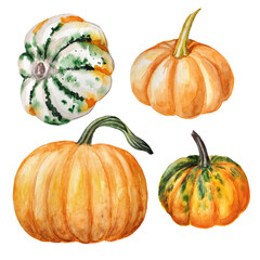 Watercolor set with hand-painted autumn elements of orange pumpkins, and spotty pumpkins on a transparent background. Autumn watercolor illustrations.