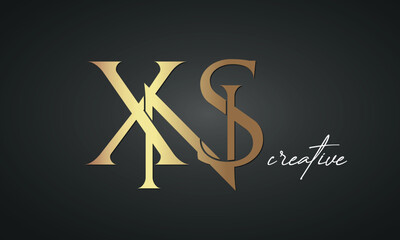 luxury letters XNS golden logo icon premium monogram, creative royal logo design