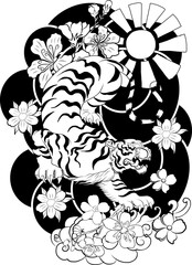 Chinese tiger with sakura flower and water splash tattoo.Illustration design tiger and cherry peach flower art vector.