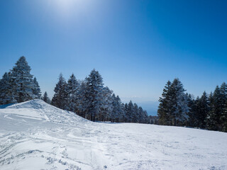 Fototapeta na wymiar Quiet ski slope on a sunny day (Ryuo, Nagano, Japan)