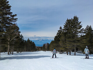 Fototapeta na wymiar Gentle ski slopes surrounded by forest (Ryuo, Nagano, Japan)