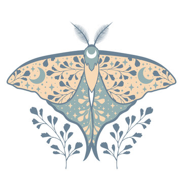 Mystic moth isolated vector illustration. Magic moon, occult, print, poster.