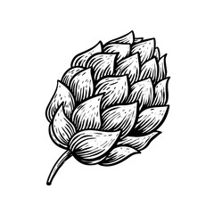 Hop black color sign. Hand drawn engraving style vector illustration