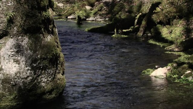 Dipper by the water