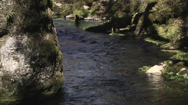 Dipper by the water