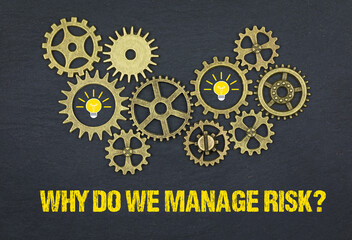 Why do we manage risk?	
