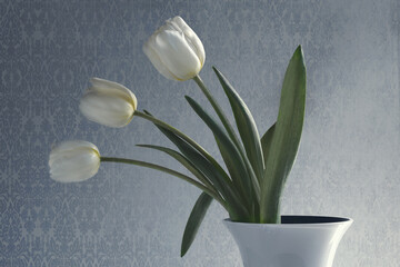 Vaso elegante e delicato di tulipani bianchi
