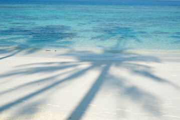 Maldives, palm tree shade on the beach - 628014303