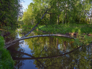 Haukkavuori Nature Reserve on banks of Kerava River in Finland.