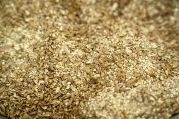 wheat grain milled ground as a background. Beer make process concept.
