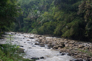Stony Ciwulan river in a lush green jungle located in Tasikmalaya, West Java