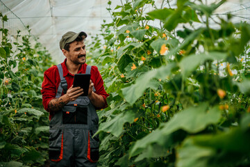 A focused farmer wearing a cap and overalls, meticulously inspecting the crops in his field using a...