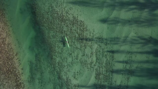 A single personal watercraft glides through the calm clear waters of an ocean estuary. Top down drone view