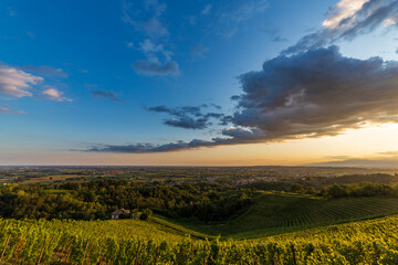 Colorful sunset in the vineyards of Savorgnano del Torre