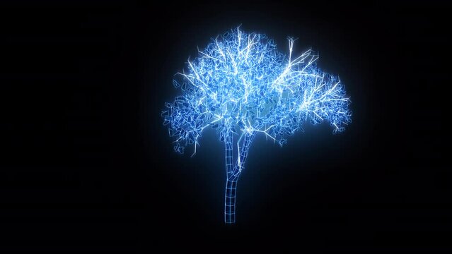 3D tree render on a transparent background.