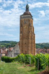 Fototapeta na wymiar Clocher de l'église Saint-Just à Arbois, vue de la petite vigne en face de l'édifice