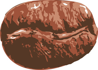 Arabica Coffee Bean Vector Illustration - eps10