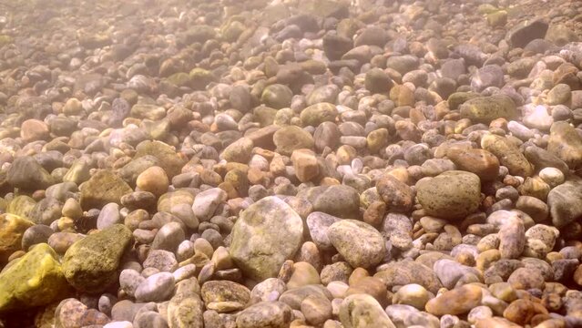 Vertical video, Coastal underwater seascape with pebble bottom in sun glare. Under water view of rocky seabed on sunny day. Natural background of pebbly bottom in shallow water