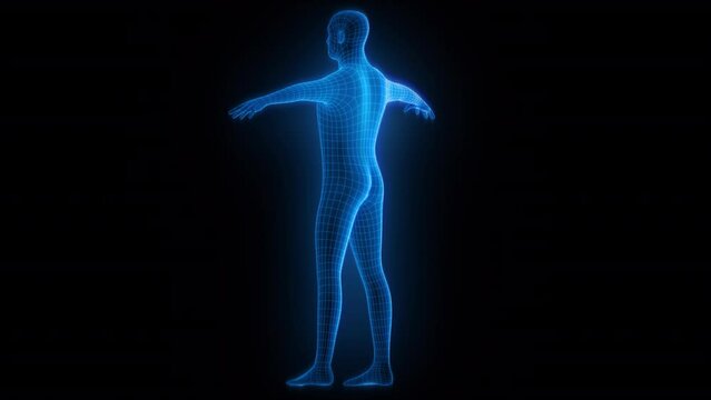 3D wireframe mesh of a human body rotating on a transparent background. Looped.