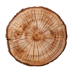 cross section of tree trunk isolated on transparent background cutout