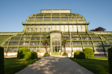 Fototapeta na wymiar Greenhouse Palm House, Palmenhaus at Schonbrunn garden, historic glass building. ienna.
