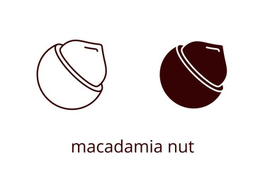 Macadamia nut icon, line editable stroke and silhouette