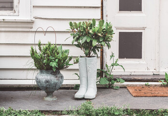 green plant in a vase and boots on the porch of the house