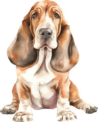 Basset dog watercolour illustration created with Generative AI technology