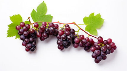 branch with red grapes and green leaves on a white background. Generative Ai. 