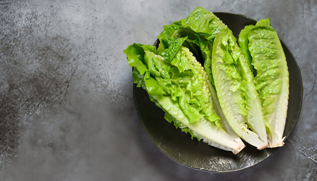 Romaine lettuce salad over stone table. Top view with copy space
