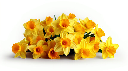 bouquet of yellow daffodils on a white background for your design. Generative Ai. 