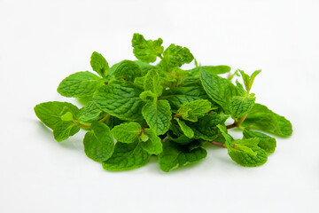 Fresh Mint Leaves on a White Background