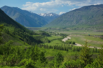 Fototapeta premium Valley of the Chuya River in the vicinity of the village of Chibit, Altai.