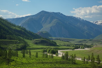 Fototapeta na wymiar Valley of the Chuya River in the vicinity of the village of Chibit, Altai.
