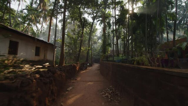 The camera moves forward along a narrow road along a village in the dense tropical jungle of India in the early morning during dawn. The light of the sun breaks through the haze and coconut trees