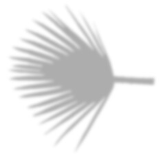 Shadow overlay effect. Transparent tree soft light and shadows from plant branches, leaves, and foliage. Mockup of abstract transparent shadow overlay effect and natural lightning scene.