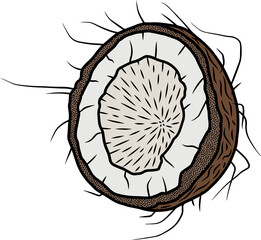 Line art illustration of coconut