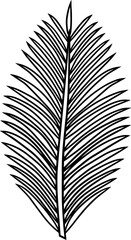 Line art illustration of coconut palm leaf