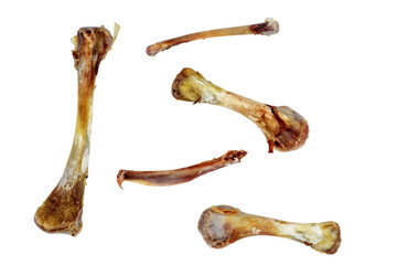 Five chicken bones isolated on a white background.