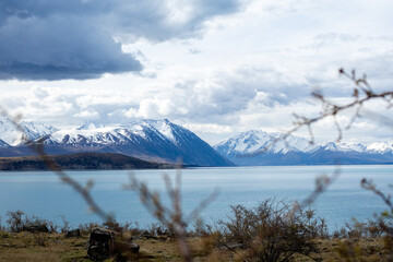 Low angle through the grass, blue lake and snowy mountains.
