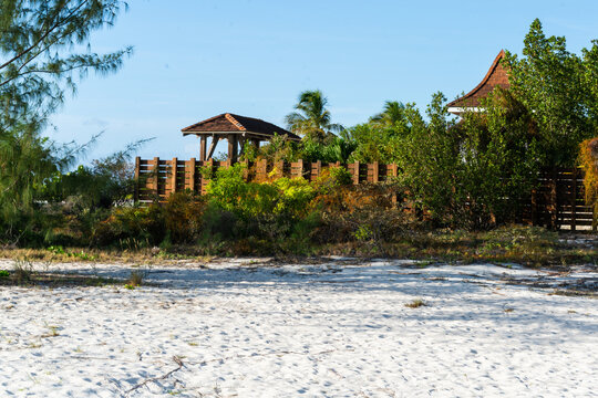 tropical garden resort.by the beach