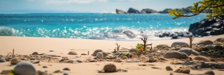 Fototapeta na wymiar Summer, Beach Background Cardpostal Designs. Background with Beach, Sand, Summer vibes and natural tones.