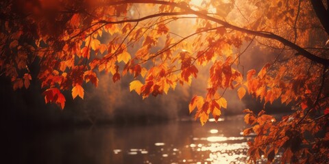 Hanging Down Leaves in Vibrant Orange and Gold, Sunlight Shining Through Unsharp River Background, Creating a Peaceful and Serene Scene of Nature's Seasonal Beauty.